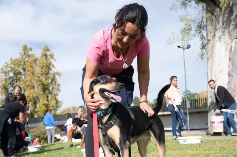 San Rafael prepara una gran “Caninata” solidaria por los animales