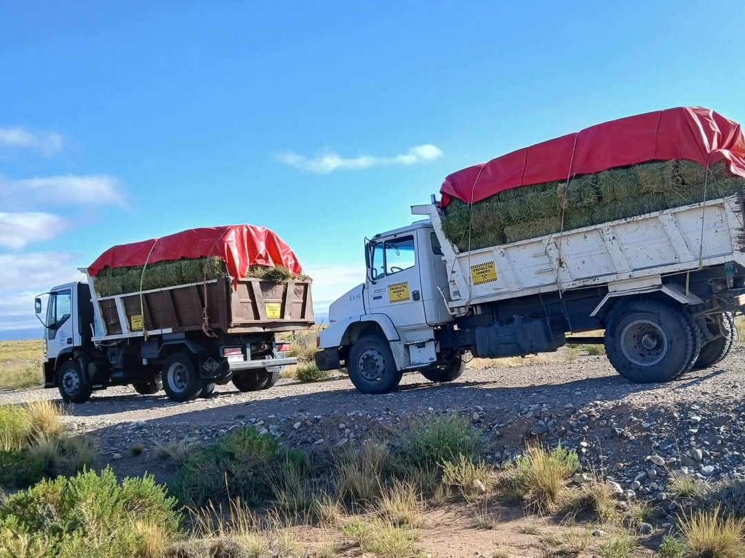 El Municipio refuerza la asistencia a puesteros y crianceros en las zonas más alejadas de San Rafael