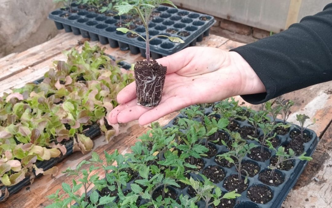 DE LAS AULAS A LA FERIA FRANCA: LA ESCUELA GATICA LLEGA CON SUS PLANTINES Y PRODUCTOS ARTESANALES